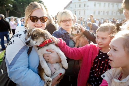 Фестиваль домашних животных «Верные друзья», Геленджик 2019