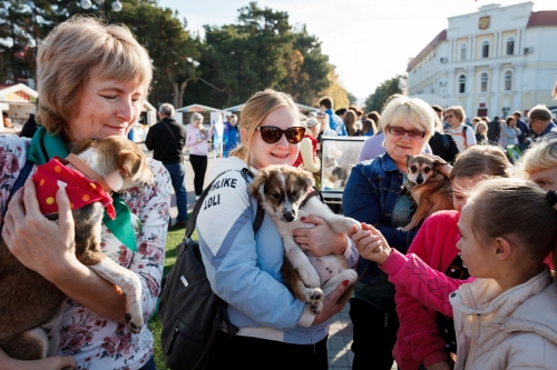Фестиваль домашних животных «Верные друзья», Геленджик 2019